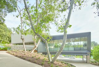 Known as the "bridge" of the house, the kitchen is contained in a large volume which projects from the hill. The garage below is designed as a multifunction room with hangar doors that open to the pool deck.
