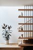 Modern home with Staircase, Metal Railing, Wood Tread, and Wood Railing. Stair detail with curios and plants. White oak and steel. Photo 11 of Ashland Residence