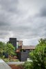 Modern home with Outdoor, Side Yard, Trees, and Shrubs. Helen Street by mw|works Photo 2 of Helen Street