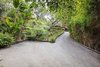 Modern home with Outdoor, Front Yard, and Trees. Driveway Photo 2 of Cedar Lodge on over a 1/2 Private Acre in Lower Nichols Canyon