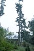 Modern home with Outdoor. Decatur Island Photo 13 of Decatur Island