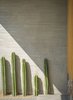 Modern home with Outdoor, Front Yard, Garden, Gardens, and Flowers. Detail - Vegetation Photo 8 of Casa MA