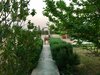 Animal sanctuary Photo 4 of VillasTaos Retreat Pool Villa modern home