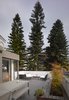 Modern home with Exterior, House Building Type, Tile Roof Material, and Concrete Siding Material. At the other end of the site, the green flourished and there stood three huge pine trees with height up to 6 floors. Photo 3 of Simple House