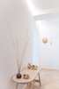 Modern home with Medium Hardwood Floor. Hallway Photo 12 of Scandinavian/Japanese concept home in Oslo city center