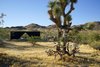 Modern home with Outdoor, Desert, Trees, and Grass. The Joshua Tree Case Study Cabin Photo of Joshua Tree Case Study Cabin
