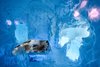 Modern home with Bedroom and Bed. The Living Ocean designed by British art student Marnie Green and her father, production designer, Jonathan Paul Green. A visual feast of marine creatures, the room celebrates the natural wonder of the ocean. Photo 3 of Icehotel