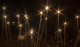 Bob Kaputof, Oasis in the Night, InLight Richmond 2018, Virginia Museum of Fine Arts