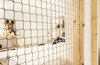 Modern home with Bedroom, Light Hardwood Floor, Bed, Wall Lighting, and Shelves. Netting on the bedroom loft ‘windows’ provide a soothing ‘barrier’ for those sleeping upstairs without completely closing off the nook from the rest of the space Photo 9 of Micro live:work studio