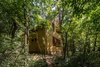 Modern home with Trees, Back Yard, Exterior, Shingles Roof Material, House Building Type, and Wood Siding Material. While looking out, you can only see dense forestry around the cabin, neighboring summer getaways are just a stone’s throw away from each other in this holiday community Photo 4 of A Family Affair