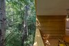 Modern home with Back Yard, Trees, Wood Patio, Porch, Deck, Small Patio, Porch, Deck, Hanging Lighting, Exterior, House Building Type, Wood Siding Material, and Shingles Roof Material. Rustic cabin lovers, eat your heart out Photo 11 of A Family Affair