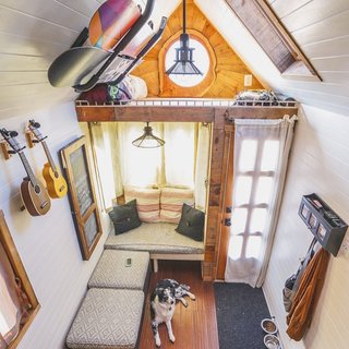 Her pup in the living space. 