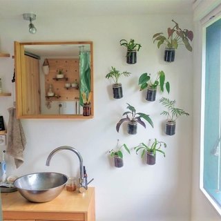 With an abundance of natural light, their space is filled with plants. 