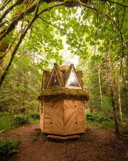 The octagon cabin that they call home.