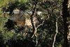 Modern home with Exterior, Flat RoofLine, Beach House Building Type, Wood Siding Material, House Building Type, Stone Siding Material, Concrete Siding Material, and Green Roof Material. A sneak peak. Photo 12 of La Mira Ra