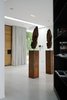 Modern home with Hallway and Concrete Floor. The hall Photo 7 of White Snake house