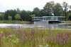 Modern home with Exterior, House Building Type, Green Roof Material, Flat RoofLine, Concrete Siding Material, and Glass Siding Material. Perched Photo of White Snake house