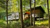 Modern home with Exterior, Wood Siding Material, House Building Type, Shed RoofLine, and Metal Roof Material. View from forest Photo 4 of Dickerman Residence