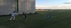 Modern home with Exterior, Concrete Siding Material, and House Building Type. Boys playing. (2017) Photo 16 of 530 house