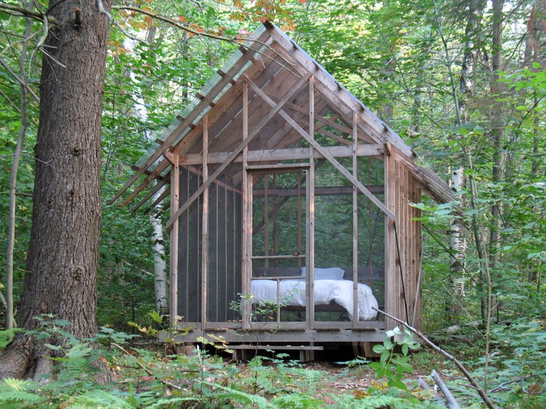 The Fern House (4 Photos) Dwell