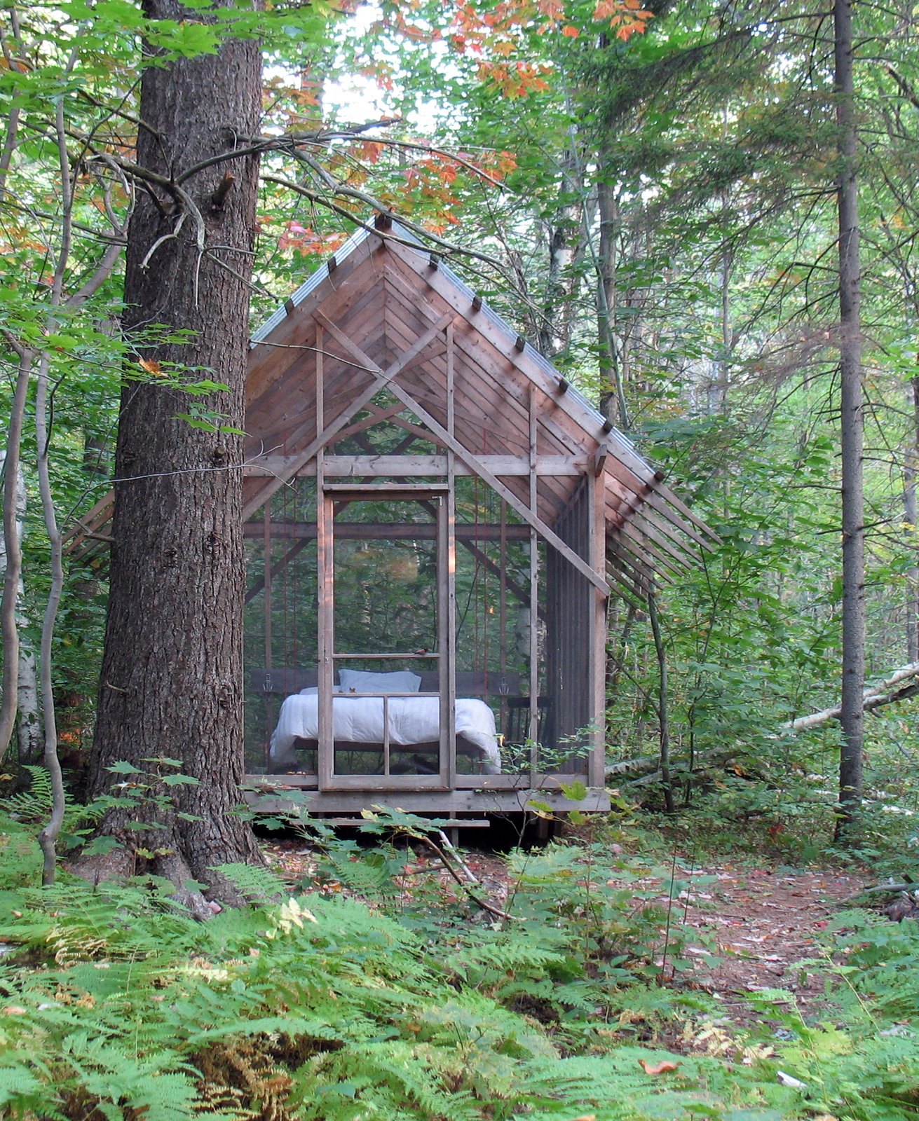 Photo 3 of 4 in The Fern House by Robert D Swinburne Dwell