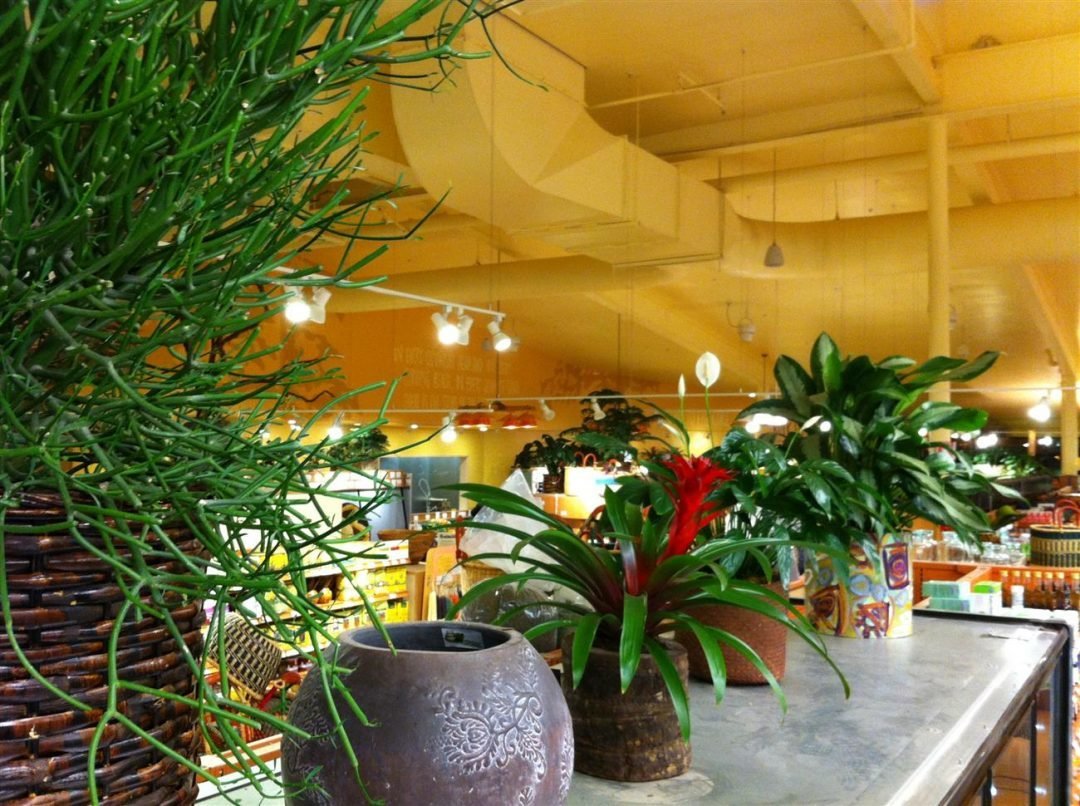 Natural & Organic Foods Stores (6 Photos) Dwell