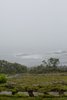Modern home with Outdoor and Boulders. Garden view in the fog Photo 15 of Deep Cove House