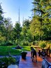 Brodie views a Bald Eagle from the Yellow Cedar Deck Photo 16 of Bentley Longhouse modern home