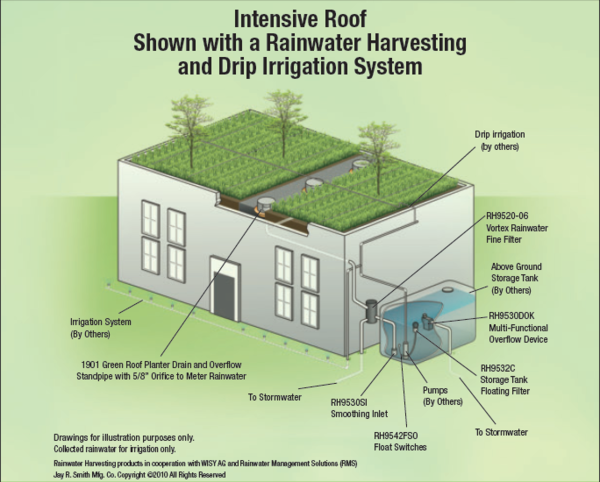 Intensive roof