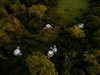Modern home with Outdoor and Woodland. The bubble domes offer clear, 180-degree visibility for an immersive experience in nature without compromising comfort. The domes are set apart for privacy, and each has a private path and gate. Photo 5 of Enchanting Bubble Domes in the Irish Woods