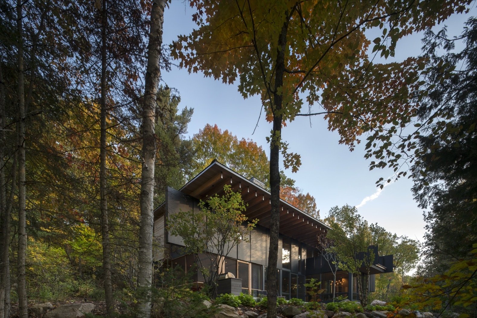 Photo 1 of 16 in This AwardWinning Cabin Is a Relaxing Antidote to City Living Dwell