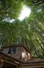 Modern home with Outdoor, Trees, Woodland, and Wood Fences, Wall. Located in the picturesque village of Lee near Ilfracombe, this serene getaway not only sleeps two, but is also dog-friendly. Photo 3 of Ravendere Retreats