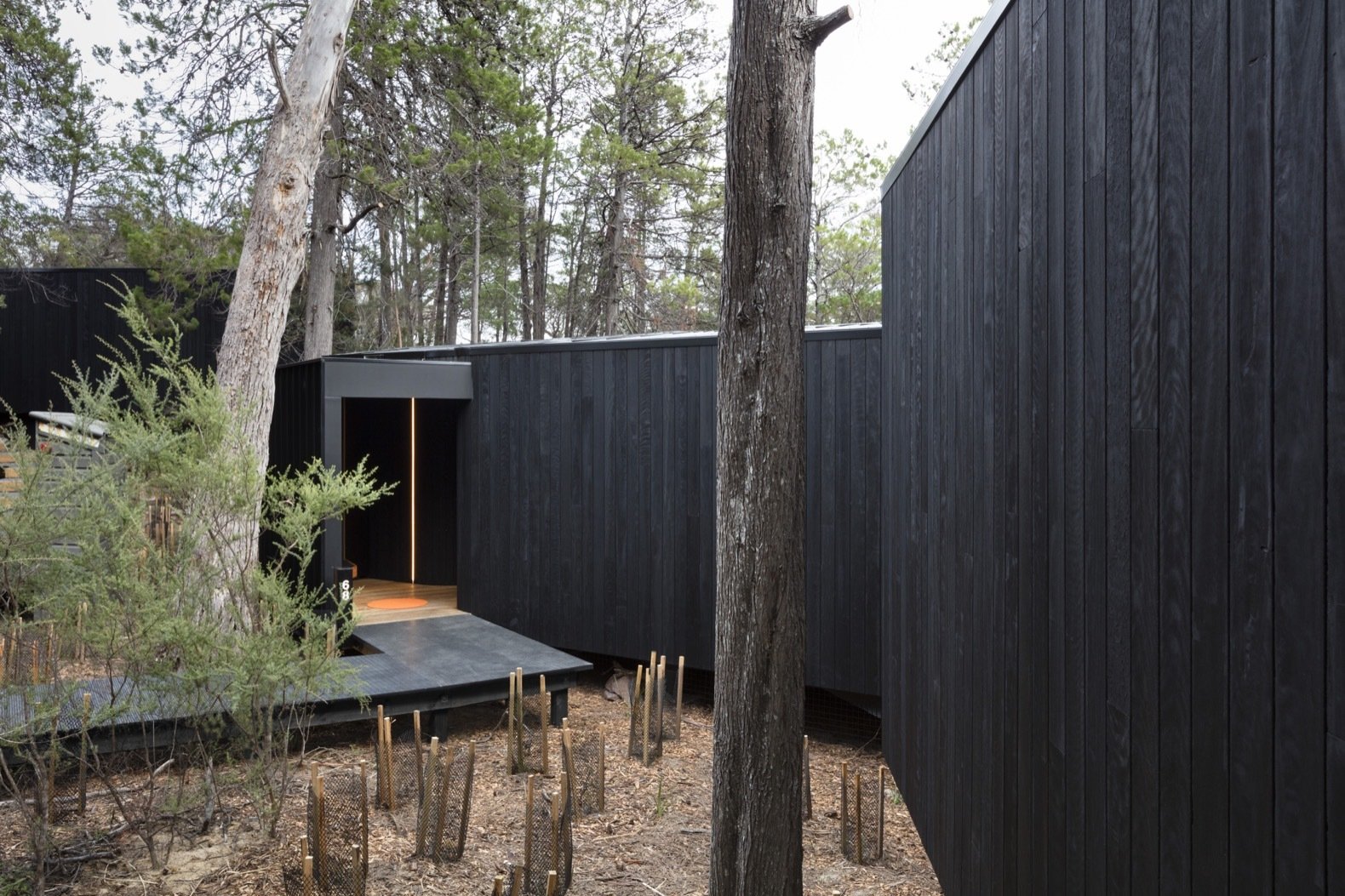 The exterior Red Ironbark cladding was charred—using the Shou Sugi Ban technique—to increase the longevity of the timber and as a nod to the significance of fire.