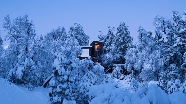 Set at an elevation of nearly 4,000 feet, La Dacha is lifted into an evergreen canopy.