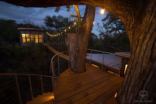 A view from the treehouse's rooftop observation deck.