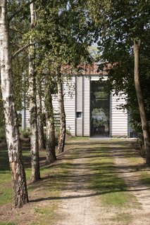 A view of the tree-lined approach to the house.