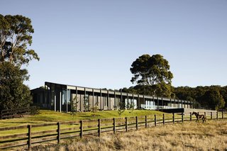 From a distance, the home's three timber pavilions appear as a unified mass.