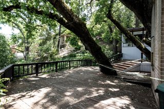 The home is built around an existing oak tree.
