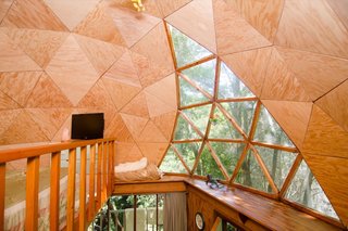 Glazing lets in natural light and views of the tree canopy.
