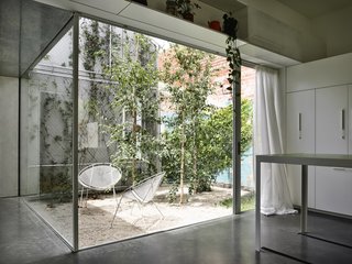 Planted with silver birch trees, a light-filled courtyard creates a visual and physical separation between the old building and new addition.