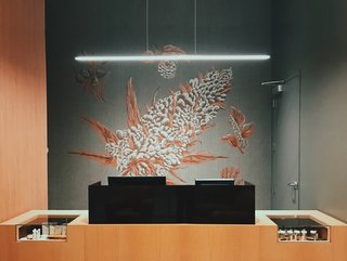 Cannabis murals by local artist Jesse Hora from Make & Co. were added behind the cannabis humidor and transaction counters in what Grondin calls their "‘fine art’ approach to the natural science and beauty behind the cannabis plant."