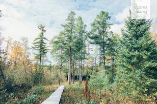 In peak summer months, the rapid growth of wetland vegetation hides the home from view.