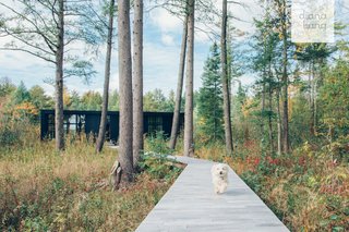 Building in a wetland landscape with minimal disturbance was the biggest project challenge. "With approval from the Department of Environmental Quality, I was able to integrate the house into the wetlands using helical piers," Karcher says.