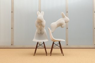 Labrooy also digitally remixes other objects, including the Eames Shell Chair, in his Garden of Eames project.
