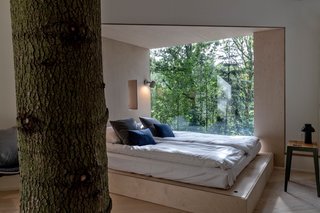 Built around a live tree, the cabin reinforces its connection to nature with a natural material palette and large windows that pull the outdoors in.