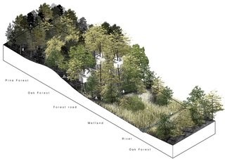 A cross section of the forest on the Als Odde peninsula