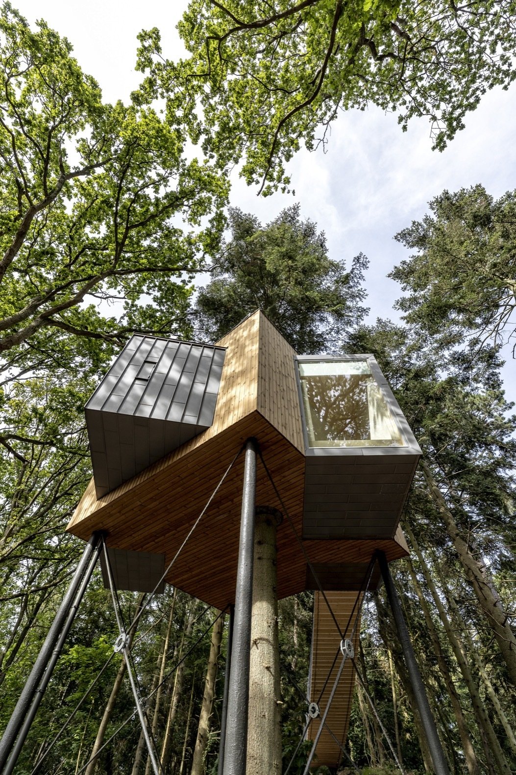 Photo 5 of 16 in Take a First Look at Denmark's Amazing New Tree House