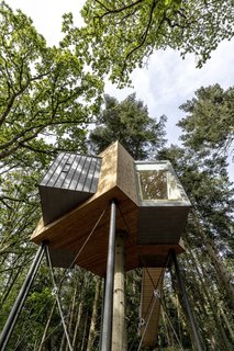 A tree grows through the center of the cabin, which is elevated 26 feet in the air and supported by thin metal pillars.