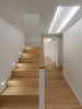 Modern home with Staircase and Metal Tread. Interior Photo 9 of PD House