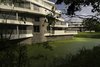 Modern home with Exterior, Apartment Building Type, Green Roof Material, Wood Siding Material, Concrete Siding Material, Stucco Siding Material, Stone Siding Material, Glass Siding Material, and Flat RoofLine. villa B and A Photo 3 of De Haaf Bergen, The Netherlands